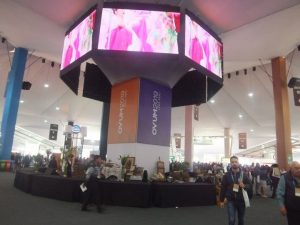 OVUM 2019 (1)